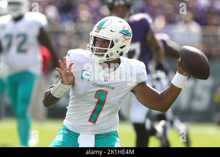 Baltimore, USA. 18th Sep, 2022. Miami Dolphins QB Tua Tagovailoa (1) in action against the Baltimore Ravens at M&T Bank Stadium in Baltimore, Maryland on September 18, 2022. Credit: Cal Sport Media/Alamy Live News Stock Photo
