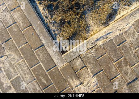 construction work during landscaping, the inner corner of the footpath enveloping the lawn, the sand filling the tile joints fell on the black earth f Stock Photo
