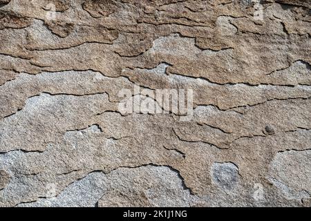 Abstract layered patterns on a rock surface at Castle Rocks State Park in Idaho, USA Stock Photo