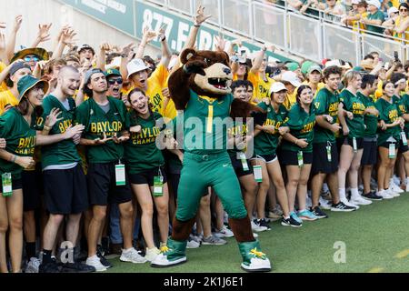 Baylor Bear mascot Bruiser gets in front of the Baylor Line before they ...