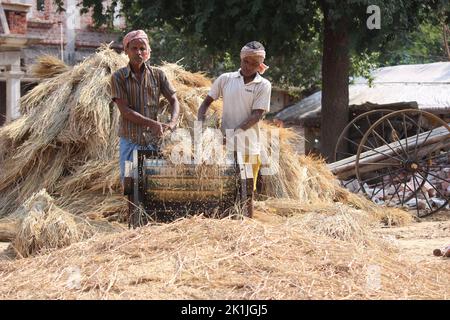 A view of Indian men working with rice thresher in village Stock Photo