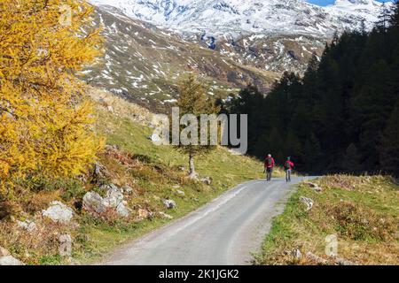 Hikers on a dirt road in a alp valley at autumn Stock Photo