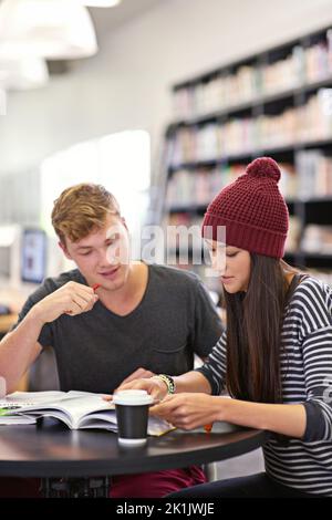 Study companions. two college students studying together at the library. Stock Photo