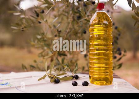 olive oil in plastic bottle and black olives on background of olive branches in garden Stock Photo