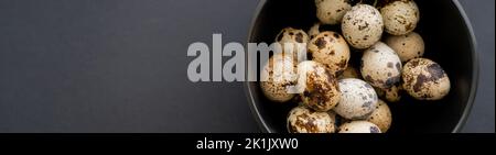 Top view of natural quail eggs in bowl on black surface, banner Stock Photo