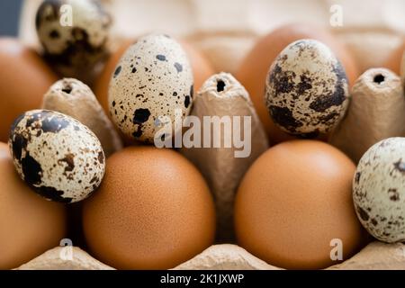 Close up view of chicken and quail eggs in open carton tray Stock Photo