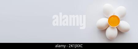 Top view of raw yolk in shell on eggs on white background, banner Stock Photo