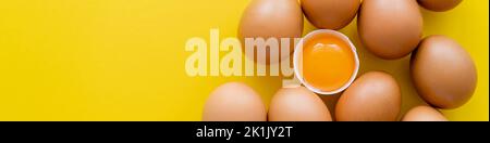 Top view of eggs near yolk in shell on yellow background, banner Stock Photo