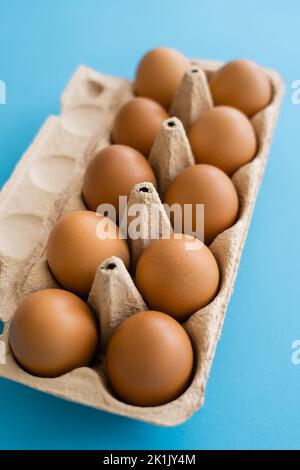 Organic chicken eggs in carton container on blue background Stock Photo
