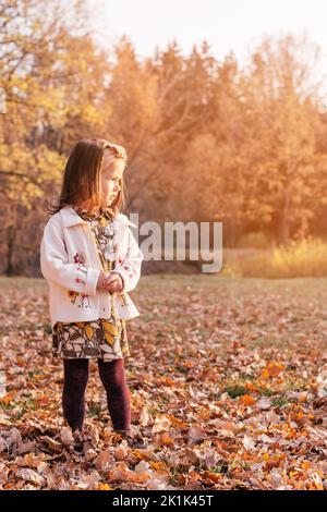 Little girl 3-4 years old stands on autumn leaves outdoor in park in rays of setting sun and looks to side. Dark haired child in clothes of beige Stock Photo