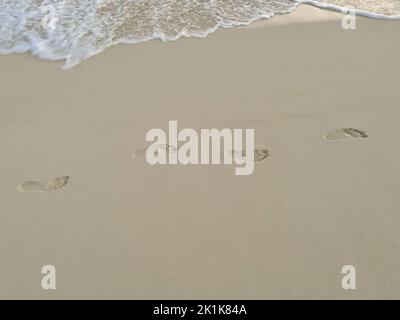 Human footprints on the wet sand of a tropical beach. Stock Photo