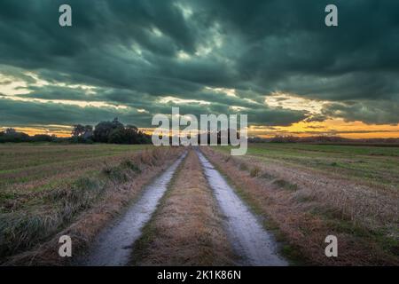 Dirt road through the fields and cloudy sky, September view in eastern Poland Stock Photo