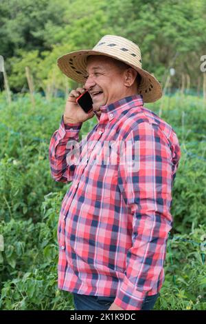 Farmer talking on cell phone while working in tomato field Stock Photo
