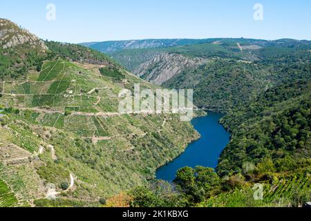 Aerial view of vineyards and Sil river, Ribeira Sacra, Ourense, Galicia, Spain Stock Photo