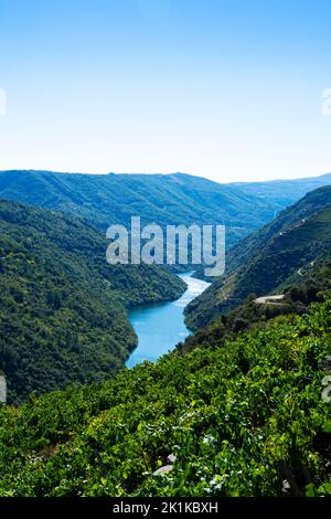 Aerial view of vineyards and Sil river, Ribeira Sacra, Ourense, Galicia, Spain Stock Photo