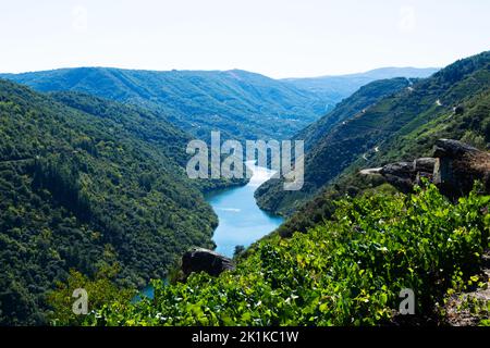 Aerial view of vineyards and Sil river in the Ribeira Sacra, Ourense, Galicia, Spain Stock Photo