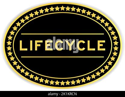 Black and gold color round label sticker with word lifecycle on white background Stock Vector
