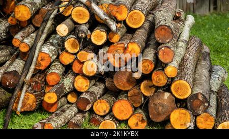 Pile of timber, felled trees. Stacked in a pile. Stock Photo