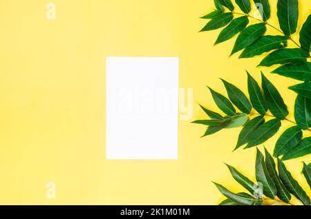 Empty white card with grassy foliage on yellow paper background. Minimalist backdrop background for mockup. Summer background with a pattern of highli Stock Photo