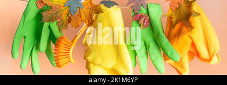 Detergents and cleaning accessories on a green background. Housekeeping  concept Stock Photo - Alamy