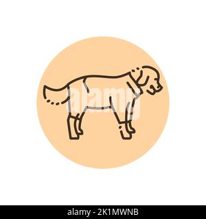 Golder retriever wearing raincoat color line icon. Pictogram for web ...
