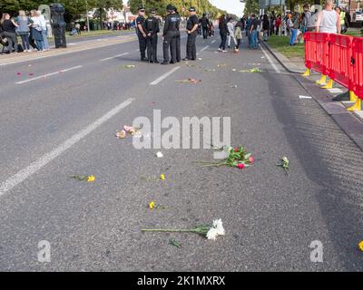 Flowers left on the road thrown at Queen Elizabeth II's passing hearse, London, UK on its way to her burial in St Georges Chapel, Windosor Castle, UK. Stock Photo