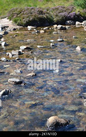 Lui Water along the Clais Fhearnaig circuit near Braemar, Cairngorms National Park, Scotland Stock Photo