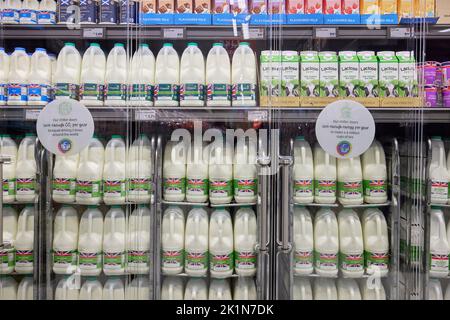 Supermarket Milk in plastic cartons at ALDI Stock Photo