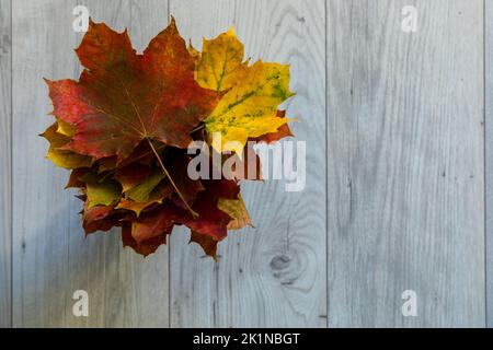 A bunch of colorful, dried autumn leaves. Stock Photo
