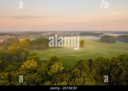 Riparian forest with morning mists from aerial perspective Stock Photo