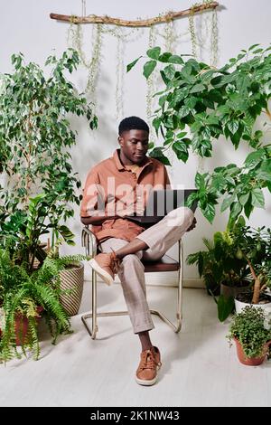 Young serious African American businessman in casualwear using laptop while networking or watching online video among green plants Stock Photo