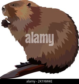 Hand drawn beaver realistic icon vector illustration. Stock Vector