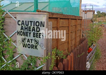 Bee keeping,GAFA, Glossopdale Action For Allotments, Gamesley Estate, Melandra Castle Road, Gamesley, High Peak,England, UK, SK13 0BN Stock Photo