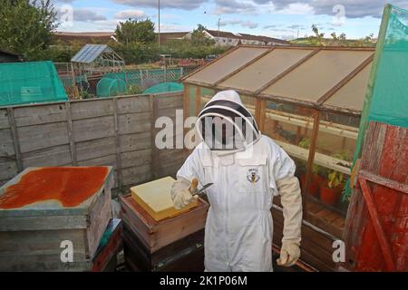 Bee keeping,GAFA, Glossopdale Action For Allotments, Gamesley Estate, Melandra Castle Road, Gamesley, High Peak,England, UK, SK13 0BN Stock Photo