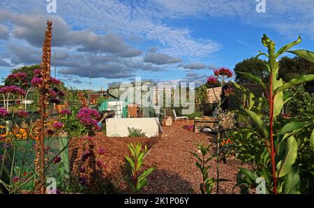 GAFA, Glossopdale Action For Allotments, Gamesley Estate, Melandra Castle Road, Gamesley, High Peak,England, UK, SK13 0BN Stock Photo