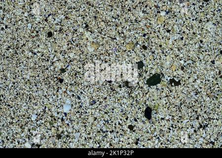 Shells ground up by the tide on a rocky beach on Vancouver Island British Columbia Canada. Stock Photo