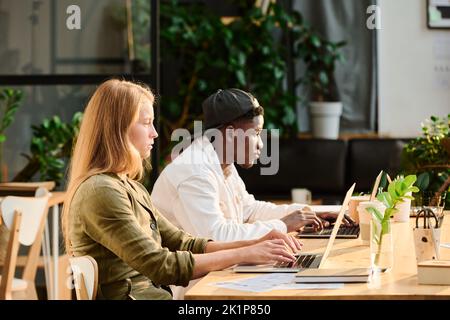 Side view of two young intercultural designers or analysts networking by desk in front of laptop screens in openspace office with green plants Stock Photo