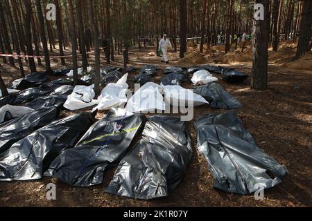 IZIUM, UKRAINE - SEPTEMBER 19, 2022 - Human remains pouches with the bodies of Izium residents killed by Russian occupiers are pictured as exhumation Stock Photo