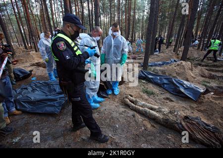 IZIUM, UKRAINE - SEPTEMBER 19, 2022 - Investigators and forensic experts exhume the bodies of Izium residents tortured to death by Russian invaders at Stock Photo