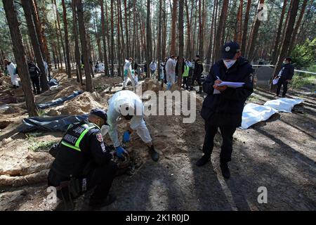 IZIUM, UKRAINE - SEPTEMBER 19, 2022 - Investigators and forensic experts exhume the bodies of Izium residents tortured to death by Russian invaders at Stock Photo