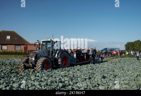 20 September 2022, Schleswig-Holstein, Eesch-Elpersbüttel: Dignitaries from politics and agriculture are driven to a field by tractor for the traditional cabbage cutting. The first cabbage is cut by District President Borwieck-Dethlefs (CDU). The guest of honor is Minister of Agriculture Schwarz (CDU). Photo: Axel Heimken/dpa Stock Photo