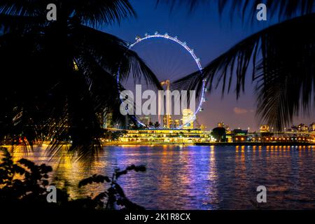 Singapore Flyer and city skyline at night from Gardens by the Bay. Singapore Stock Photo