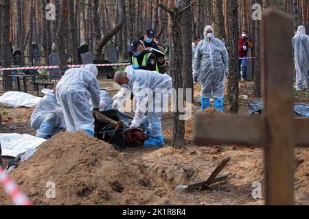 Non Exclusive: IZIUM, UKRAINE - SEPTEMBER 19, 2022 - Investigators and forensic experts exhume the bodies of Izium residents killed by Russian occupie Stock Photo