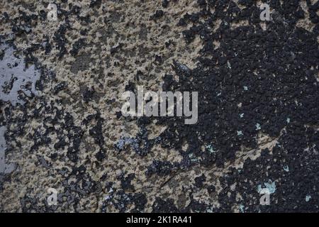 Cracked wall with old layers of paint, copy space Stock Photo