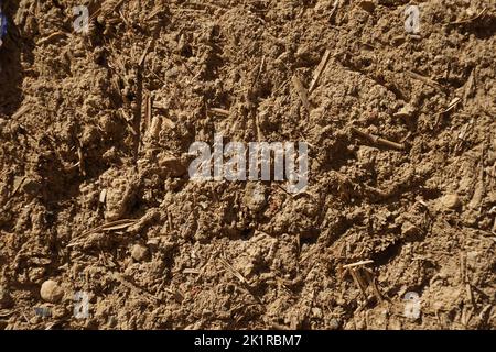 adobe wall with recesses, background Stock Photo