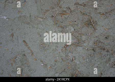 close up wall detail with adobe plaster Stock Photo