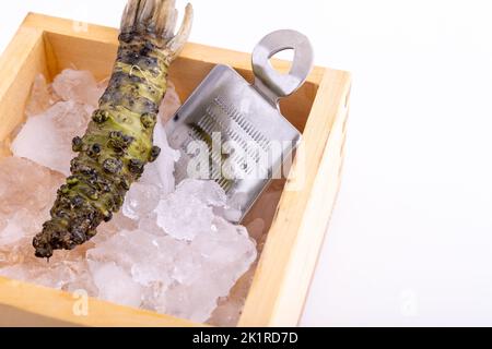 Freshly picked high-quality raw wasabi necessary for Japanese cuisine Stock Photo