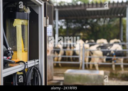 20 September 2022, Saxony-Anhalt, Iden: A container with a urease liquid stands in a box that was built behind a cattle yard of the State Institute for Agriculture and Horticulture. The box is a filling station for a robot that pushes manure out of the barn. In doing so, it sprays the urease liquid. Urease is an enzyme that prevents the formation of ammonia. In addition to the State Institute for Agriculture and Horticulture, the University of Kiel, the Julius Kühn Institute (JKI) in Braunschweig and the Lehr- und Versuchszentrum Futterkamp of the Schleswig Holstein Chamber of Agriculture are Stock Photo