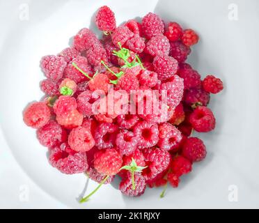 Whole fresh raspberries on a white  plate, from above. Freshly picked, ripe, red and sweet fruits of Rubus idaeus, the cultivated European raspberry. Stock Photo