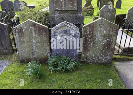 Spring daffodils on the Wordsworth Graves, St Oswalds parish church, St Oswalds church, Grasmere village, Lake District National Park, Cumbria, Englan Stock Photo